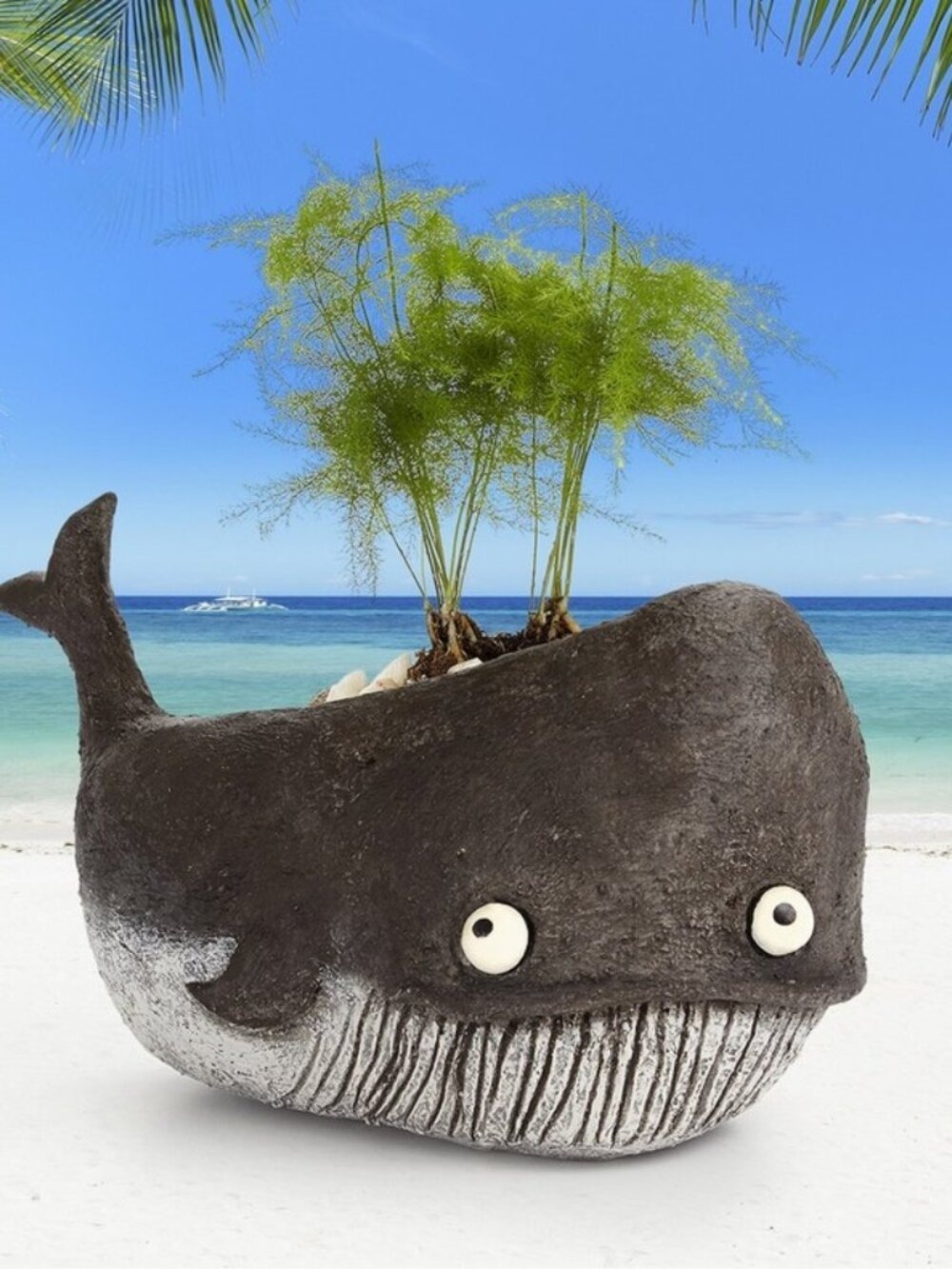 Whale Planter Goliath Unique Succulent Planter Pot with Drainage - Picture 2 of 12